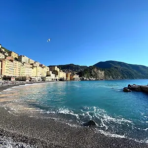 Casaviva - Sweet Bilo On The Sea In , Camogli Italia